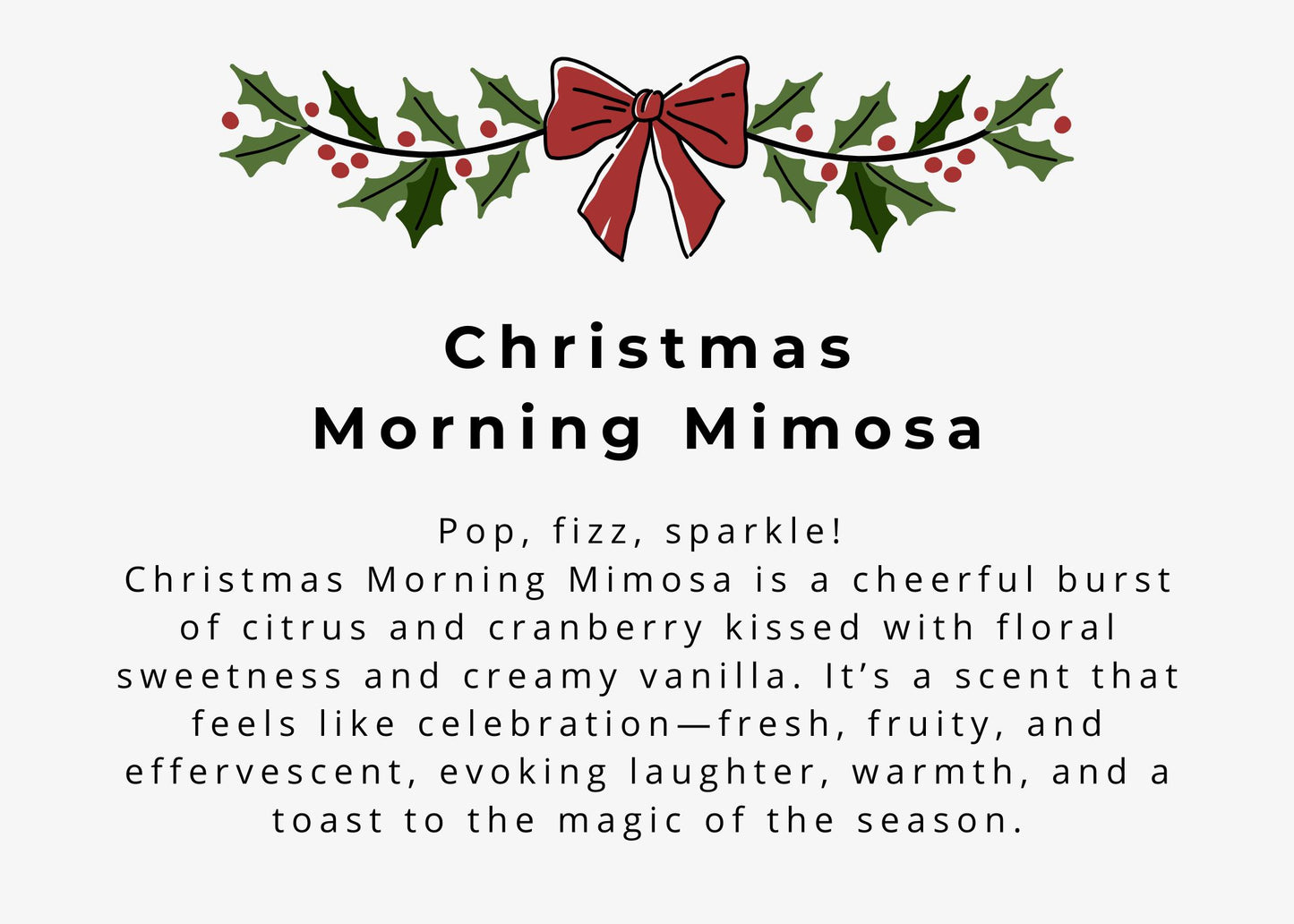 49th & Magnolia Home Multi-Surface Cleaner - CHRISTMAS EDITION