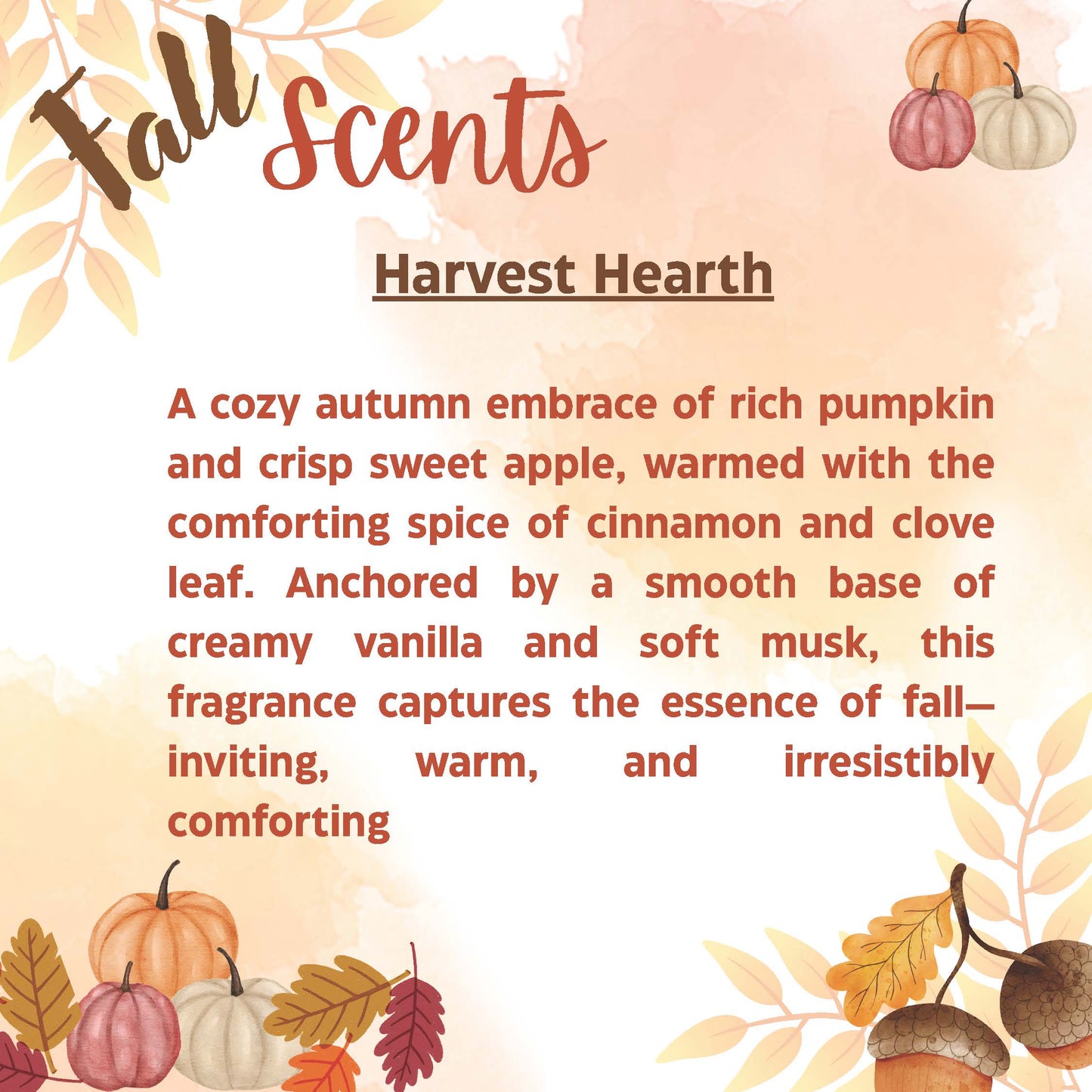 49th & Magnolia Home Carpet & Upholstery Refresh - FALL EDITION