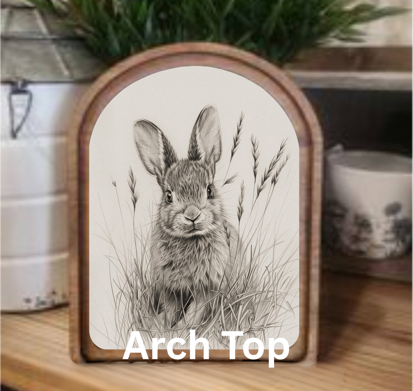 Bunny Sketch Framed Art