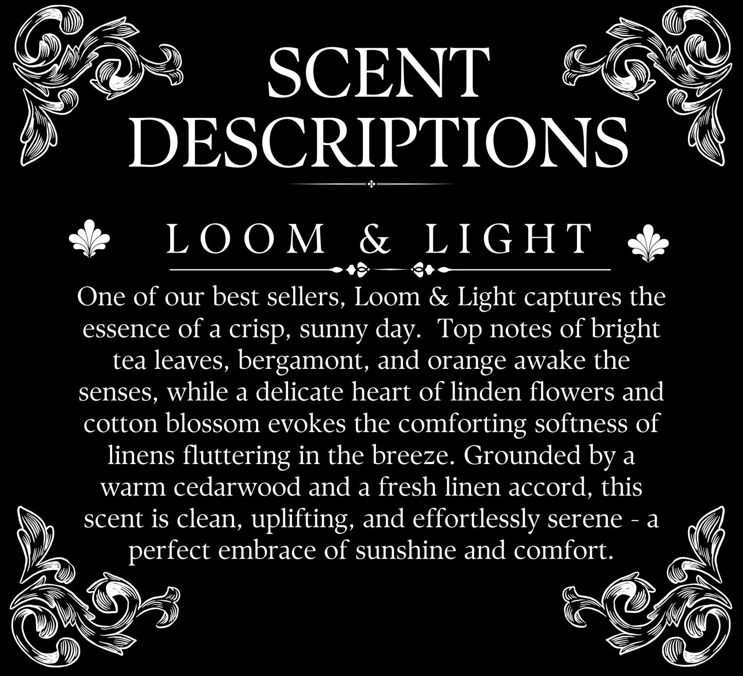 49th & Magnolia Home Fabric Softener