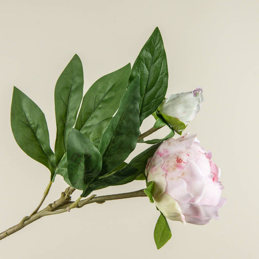 24" SOFT TOUCH LIGHT PINK PEONY STEM