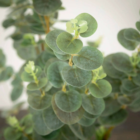 49" Eucalyptus Tree by Sullivans Home Decor