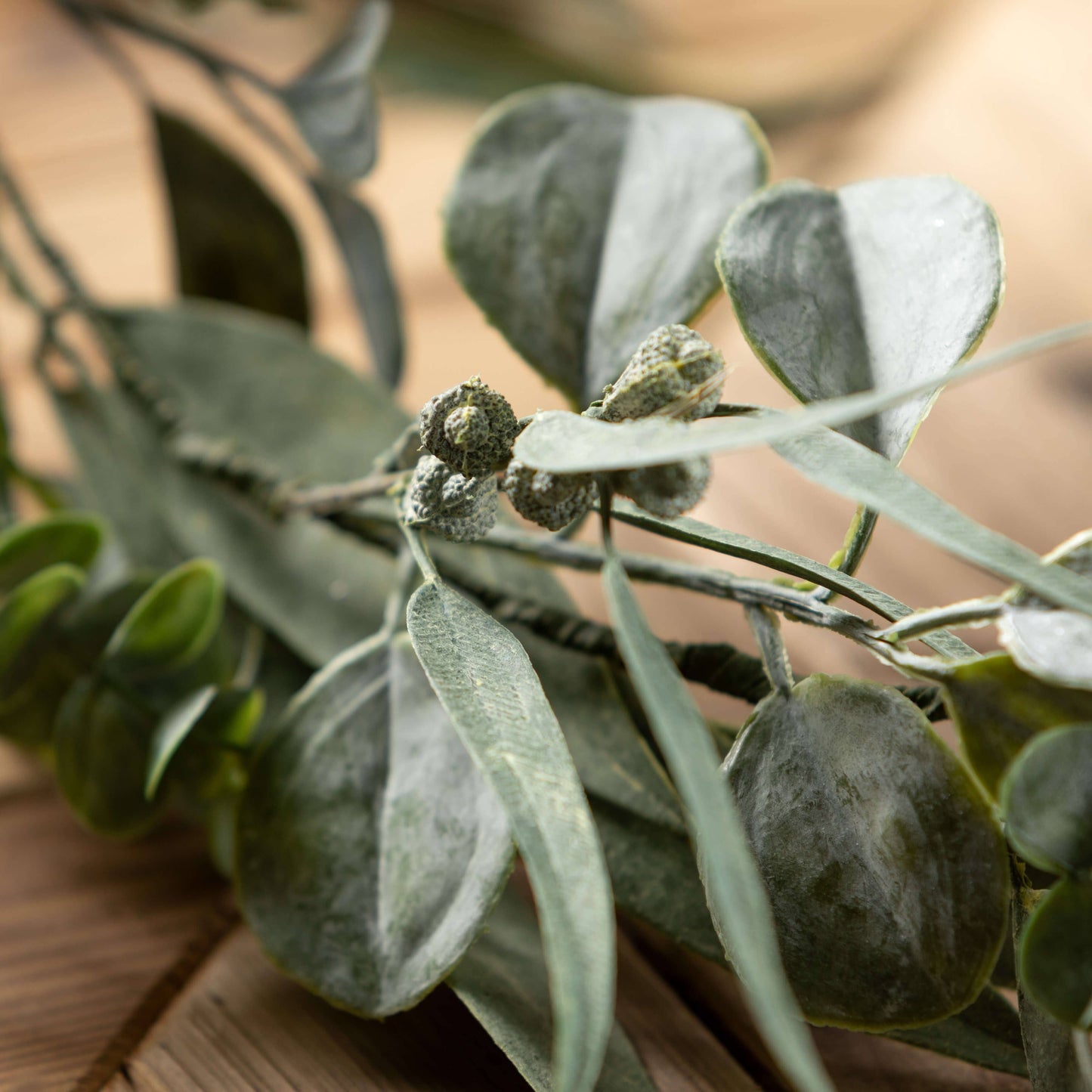 CALIFORNIA EUCALYPTUS GARLAND