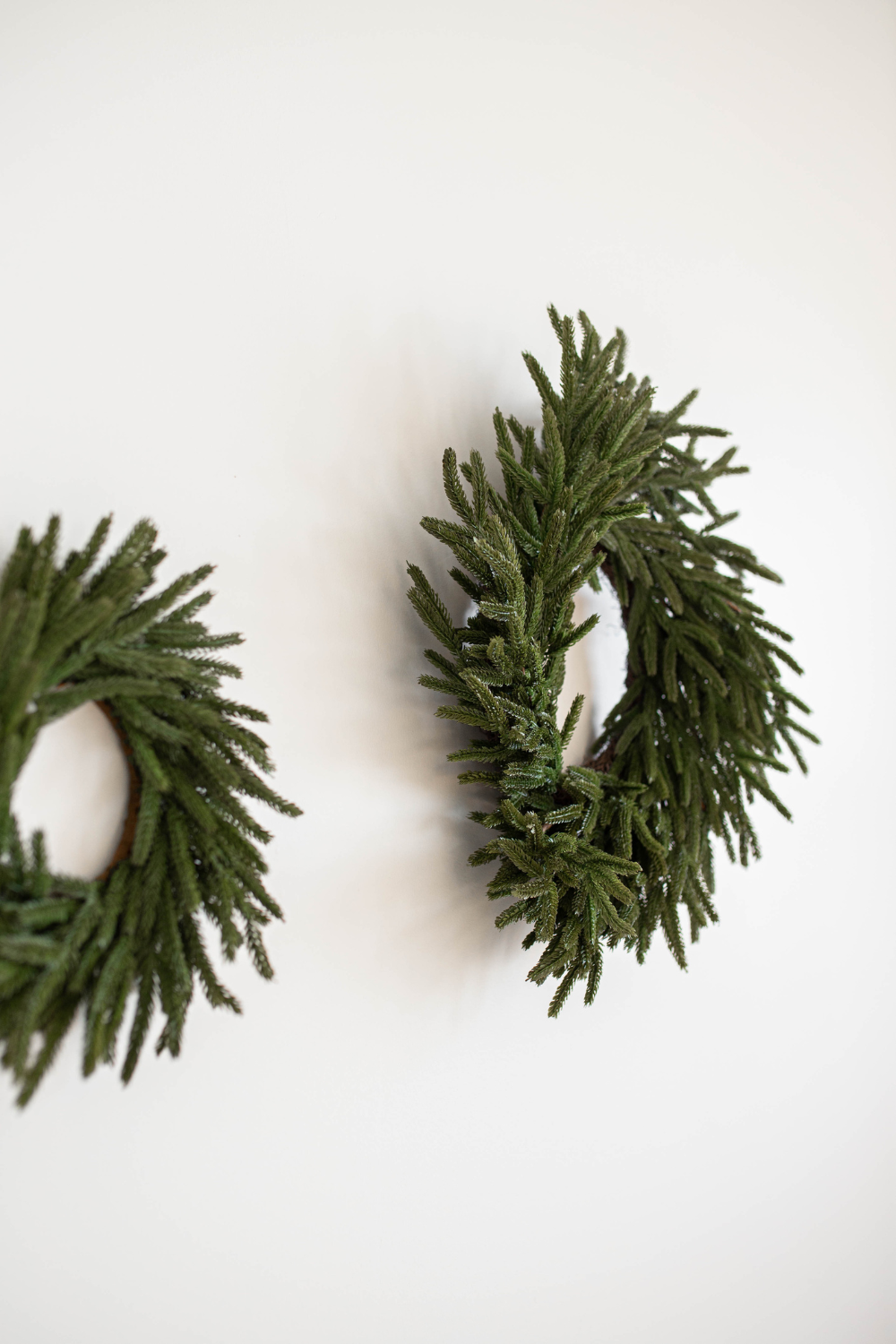24" Norfolk Pine Real Touch Faux Christmas Wreath - 49th & Magnolia