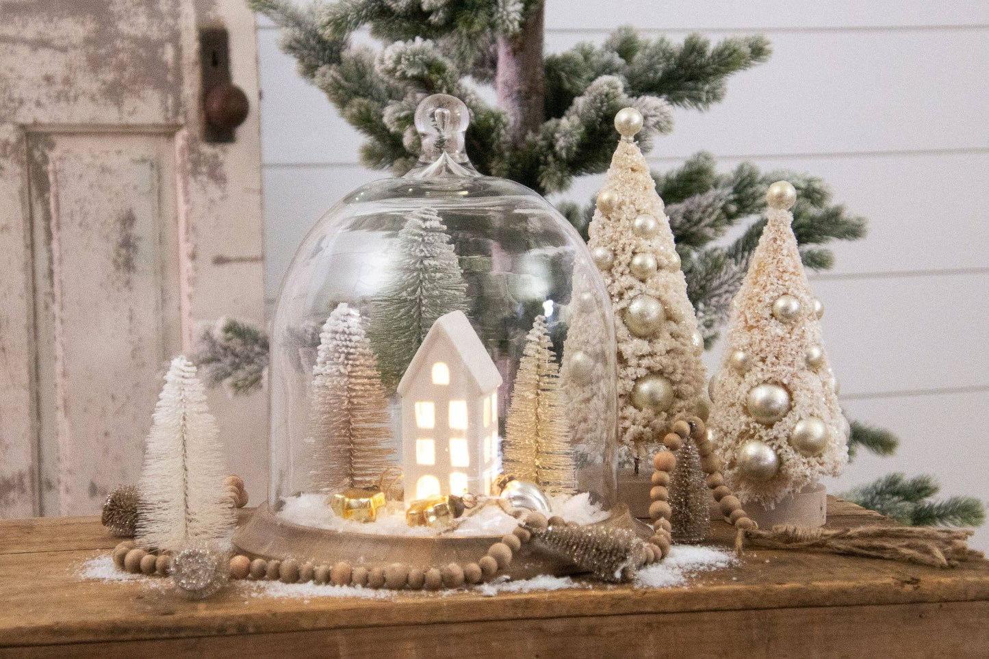 Glass Cloche With Mango Wood Base