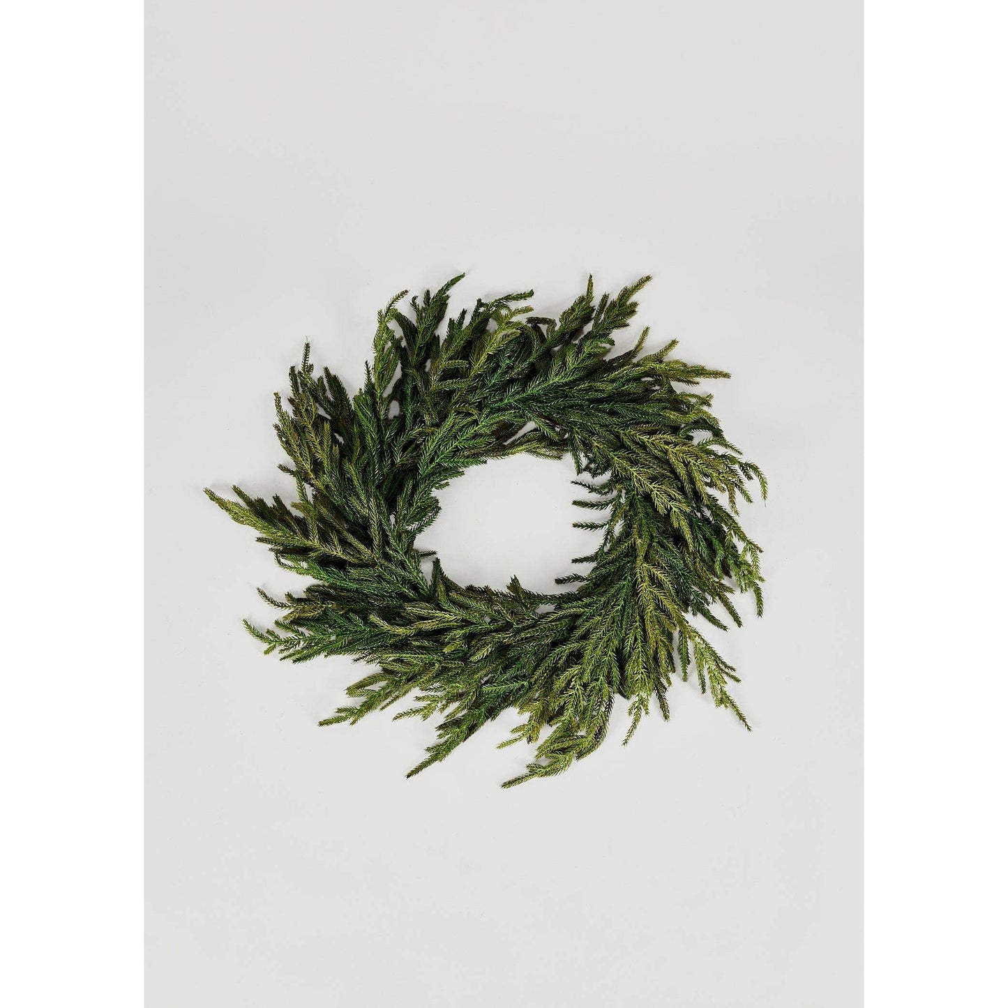 Real Touch Norfolk Pine Wreath - 24"