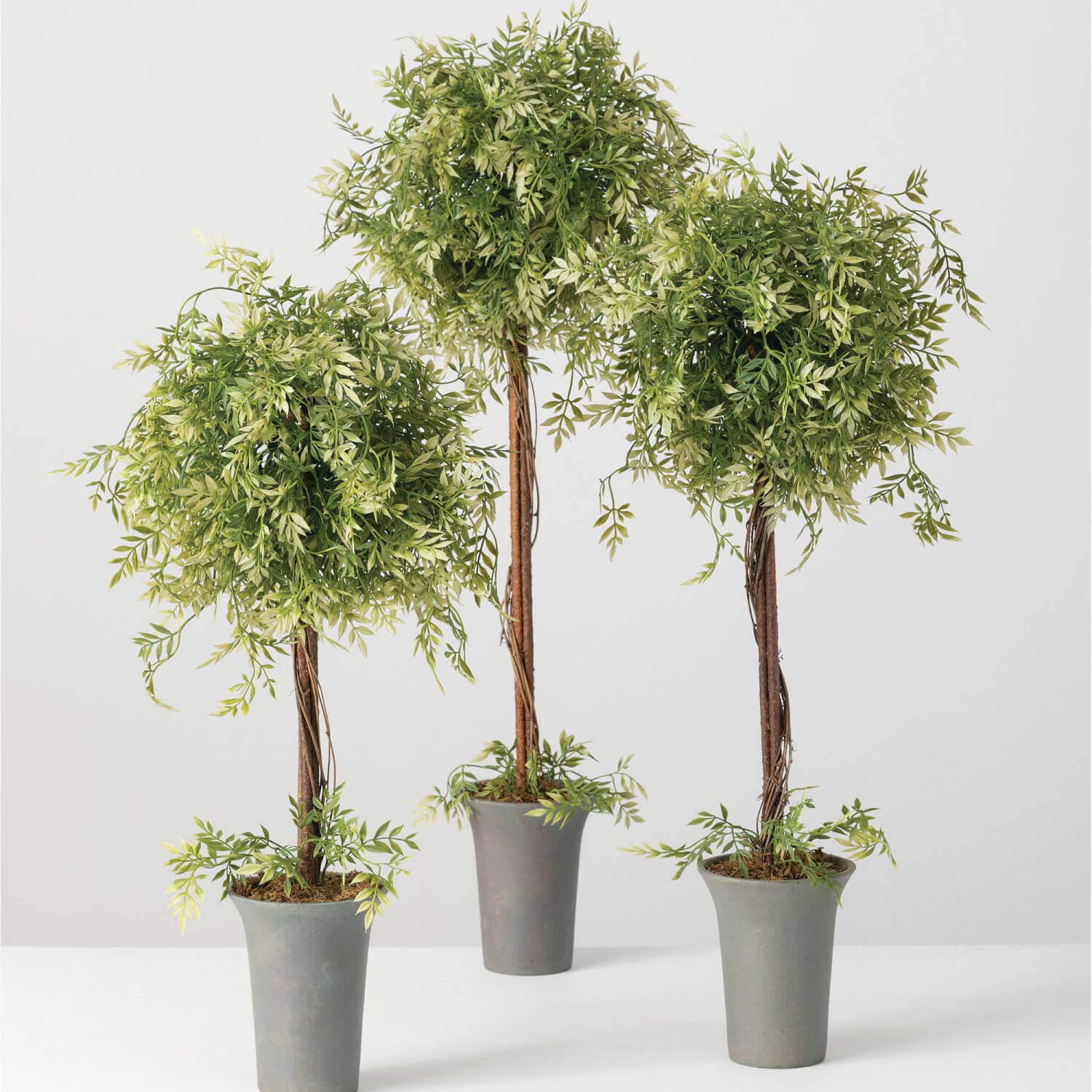 WISTERIA TOPIARY (Set of 3) - 49th & Magnolia