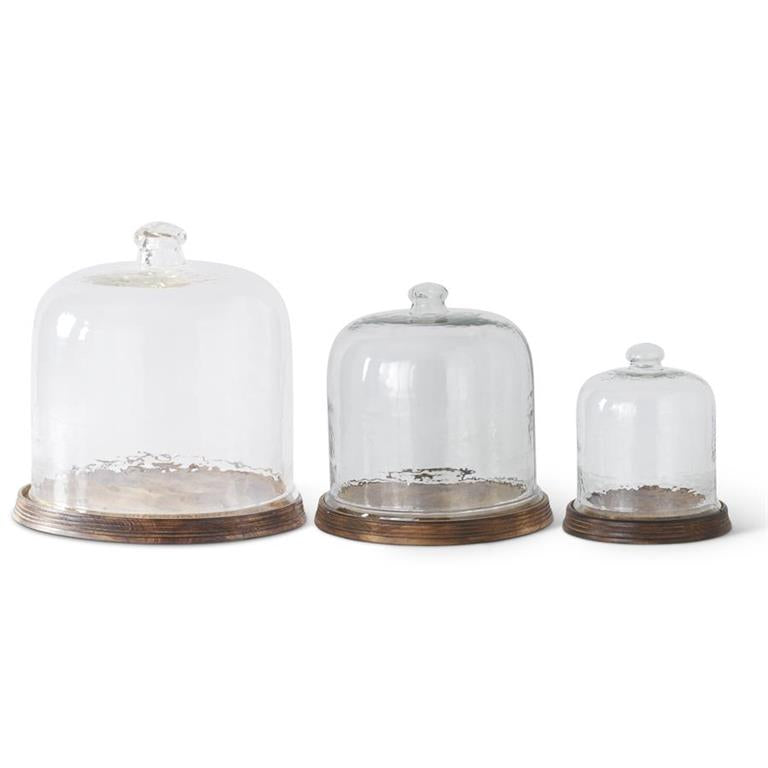 Wavy Glass Cloches w/Wood Trays