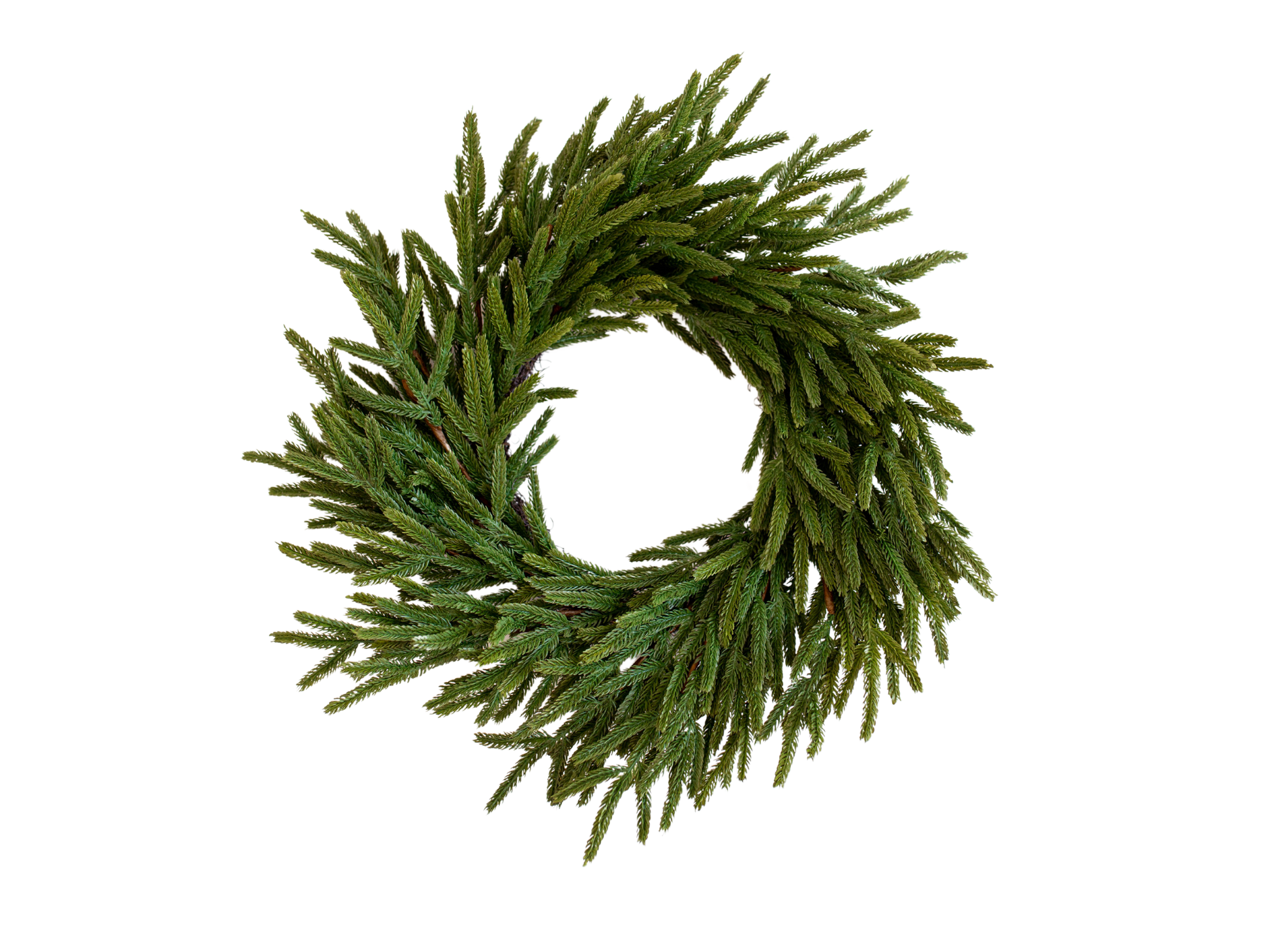 24" Norfolk Pine Real Touch Faux Christmas Wreath - 49th & Magnolia